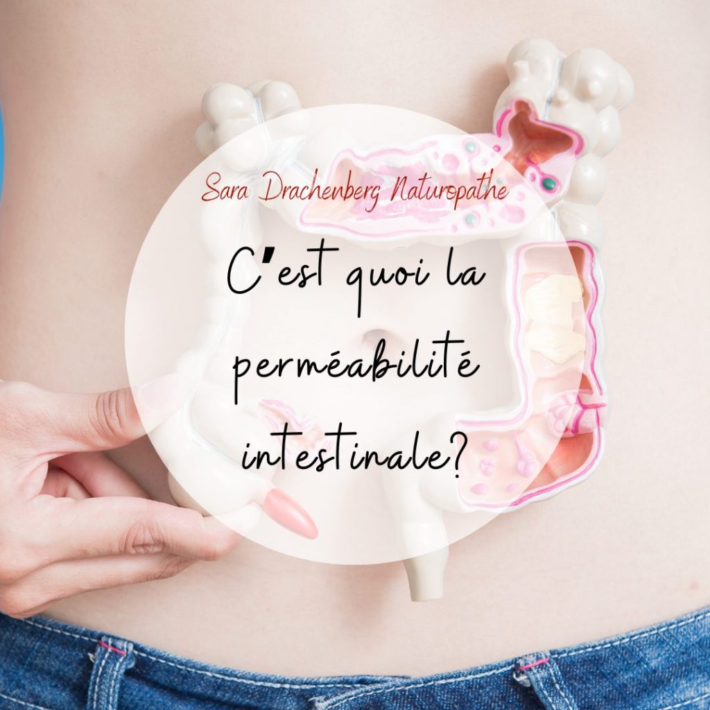 perméabilité intestinale naturopathie
